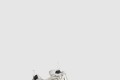 [BALENCIAGA-발렌시아가]카고 스니커즈 785756