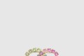 [CHANEL-샤넬]브로치 ABC318
