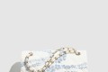 [CHANEL-샤넬]플랩백 AS5454