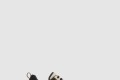 [FERRAGAMO-페레가모]운동화와 캐주얼화 021223