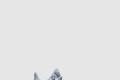 [YEEZY-이지부스트]350 v2 MX 프로스 GW3375