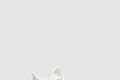 [YEEZY-이지부스트]350 V2 본 HQ6316