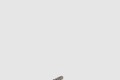 [JIMMY CHOO-지미추]Bing 65