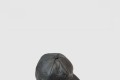 [LOUIS VUITTON-루이비통]베이스볼 캡 M65878