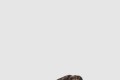[FENDI-펜디]브라운 FF 새틴 슬라이드 8X8645