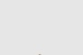 [FENDI-펜디]FF 자카드 패브릭 샌들 7X1604