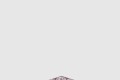 [DIOR-디올]Toile de Jouy Papillon Dior 다이아몬드 스카프 52TJP