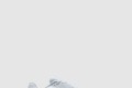 [NIKE-나이키]윈플로 11 FJ9509