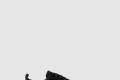 [LOUBOUTIN-루부탱]트리밍 장식 벨벳 스니커즈 3240801