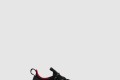 [LOUBOUTIN-루부탱]트레일런 스니커즈 1250162
