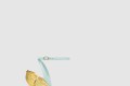 [LOUBOUTIN-루부탱]Ginko 소녀 1240740