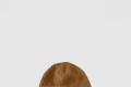[LOUIS VUITTON-루이비통]니트 모자 M32511
